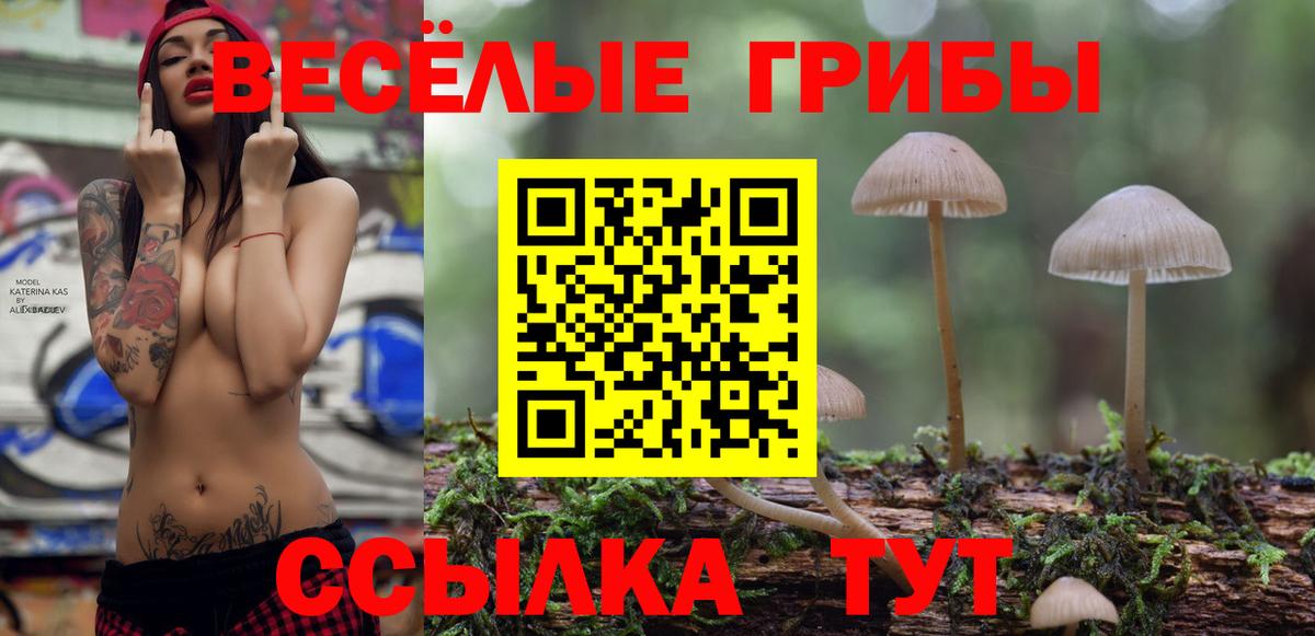 Псилоцибиновые грибы Psilocybine cubensis Мыски