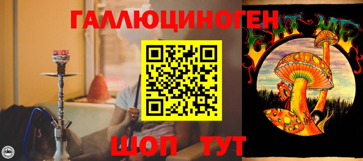Псилоцибиновые грибы Psilocybe  Вход с VPN  Мыски 